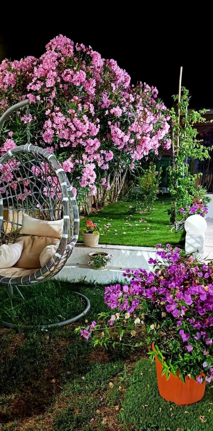 La Smeralda - Boutique Rooms And Breakfast Гольфо-Аранчі Екстер'єр фото
